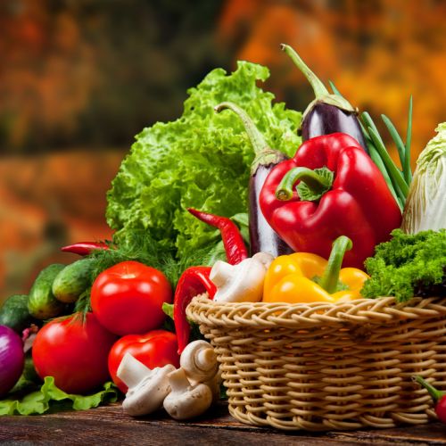 ALIMENTATION